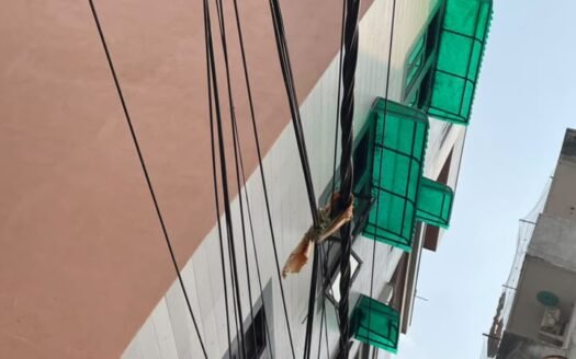 2 BHK Flat for Sale in Siddharthi Enclave, Dwarka Mor – ₹34 Lakh